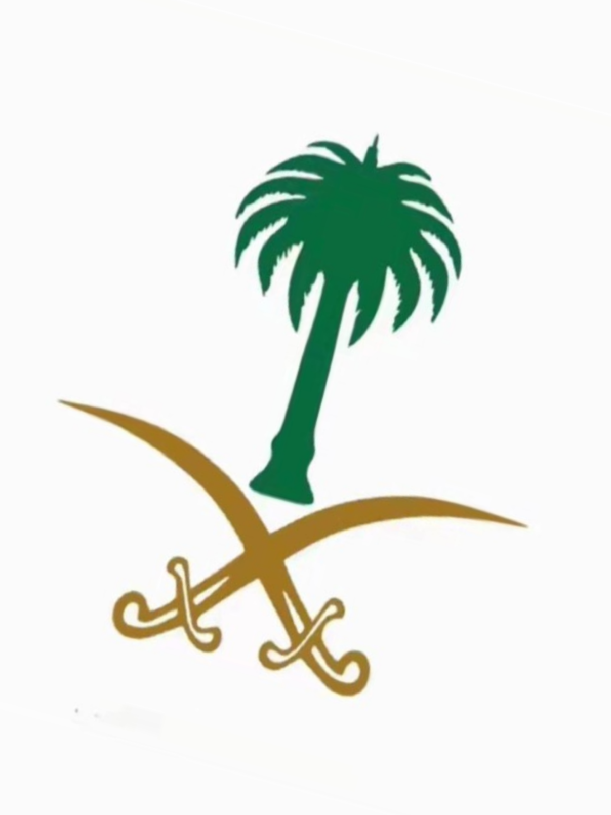 تيشرت الهوية الوطنية الهمة🇸🇦 #تيشرت #الهوية #الوطنية #همة #حتى #القمة #tishrit 