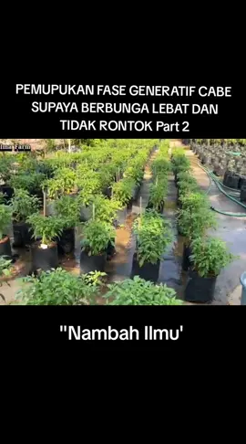 #belajar #perkebunan #ilmu #pertanian 