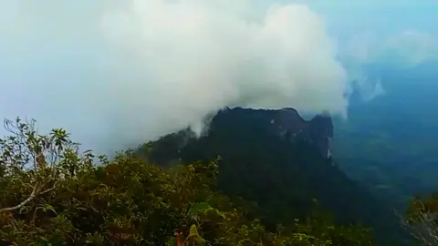 kujau di selimuti Awan☁️