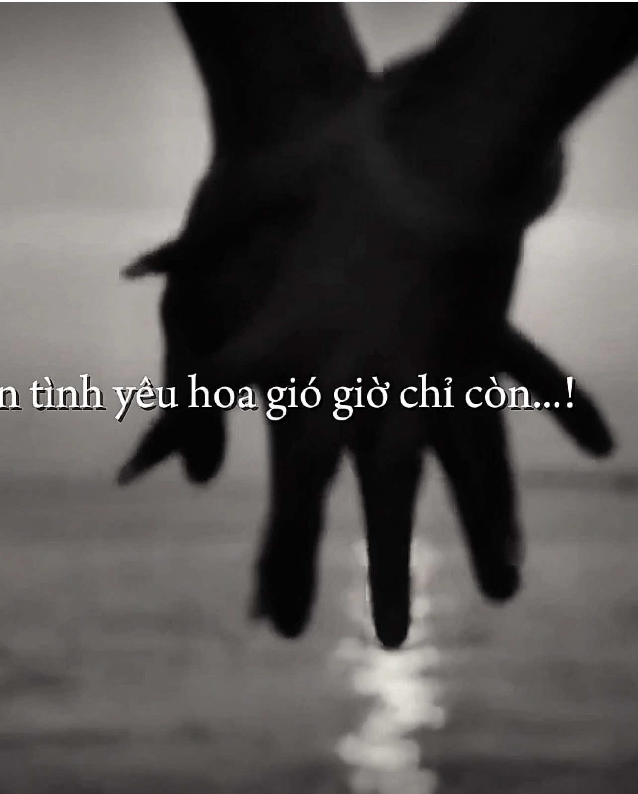 Chuyện tình yêu hoa gió giờ chỉ còn...!#xuhuong #09th02_8 #viral #thinhhanh #tamtrang #nhachay #nhacchill 