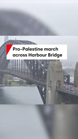 Thousands of pro-Palestine supporters are marching over the Sydney Harbour Bridge. WikiLeaks founder Julian Assange, Premier Bob Carr and Labor MPs who defied calls from Premier Chris Minns not to march can be seen at the front of the crowd. #SydneyCBD #Israel #HarbourBridgeprostest #proPalestine #PalestinianActionGroupSydney #Sydney #NSW #protest #7NEWS