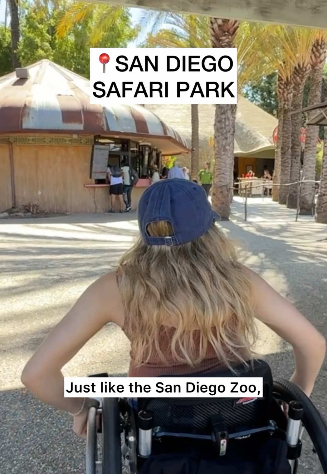 Replying to @Jaine @San Diego Zoo #SanDiegoSafariPark #SanDiegoZoo #Zoo #SafariPark #SanDiego #Conservation #Animal #Animals #Nature #Disability #Disabled #Wheelchair #WheelchairUser #Rating #Review #Travel #Access #ADA #Adventure #TravelTikTok #ForYou #ForYouPage #TikTok #FYP #fypシ 