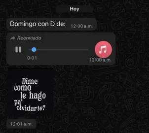 Domingo con D de: #vaileinolvodable #d #badbunny #fyp 