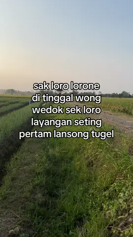 @𝚓𝚋𝚗 x 𝚋𝚛𝚎𝚗𝚔 #xybca #fyp #layangan #pegonceper #agstyle #masukberandafyp #fyppppppppppppppppppppppp #trending #virall 