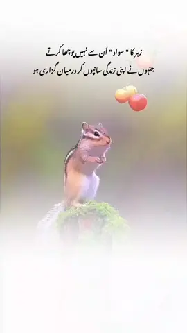 it's true 😭💯🦋...... #fypシ゚ #fyp #foryoupage #urdupoetry 