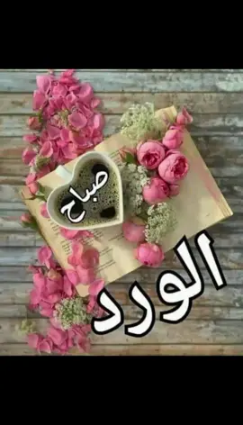 صباح الإبتسامة المشرقة والسعادة الدائمة  صباح السعادة والهناء والسرور صباح الخير للمتفائليــن .. الذين يرون الخير في كل شيءٍ ويرون الكون ربيعـــاً دائم....  دمتــم لنــا وروداً تفــوح عطـراً ... 🌻❤