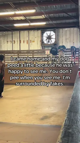 Tag a fake friend 😔👇 Baggy Boys • • • • • • • • #Skateboarding #skateboardingisfun #skatelife #skater #skateclips #freestyleskating #iloveskateboarding  #skateboarder #skateordie #skateanddestroy #sk8 #skatinglife #skatingisfun #skatingfun #aestheticskateboarding #sk8ingtheworld #skaterxl #classicclips #trickoftheyear #theworldofskateboarding #skateedits #steezy #skategrammed #views #viewsfordays #fyp #explore #explorepage #reels #instagramreels