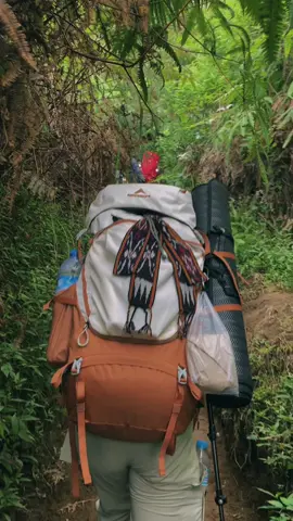 vibes gendong carrier📈📈 #carrier #eiger #ecosavior #gunung #fyp #fypシ゚viral 