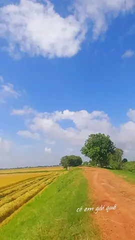 #tiktok #canhđepthiennhienvungque ### #nhackhongloi ####