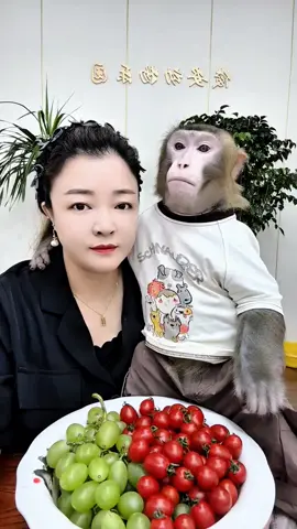 #fentysuperbrandday #tiktok #monkey #foryou 