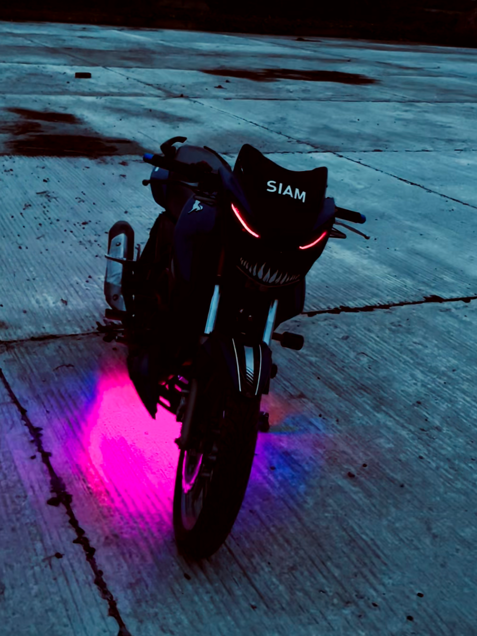 horse 🐎🫶🏻😻 #foryou #foryoupage #bikelover #rtr2vmodified #best_modified_bike #viralrtr2v #tangail_city #siamsunny43 