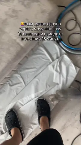 Сцыкунам скидки 🛋️✨