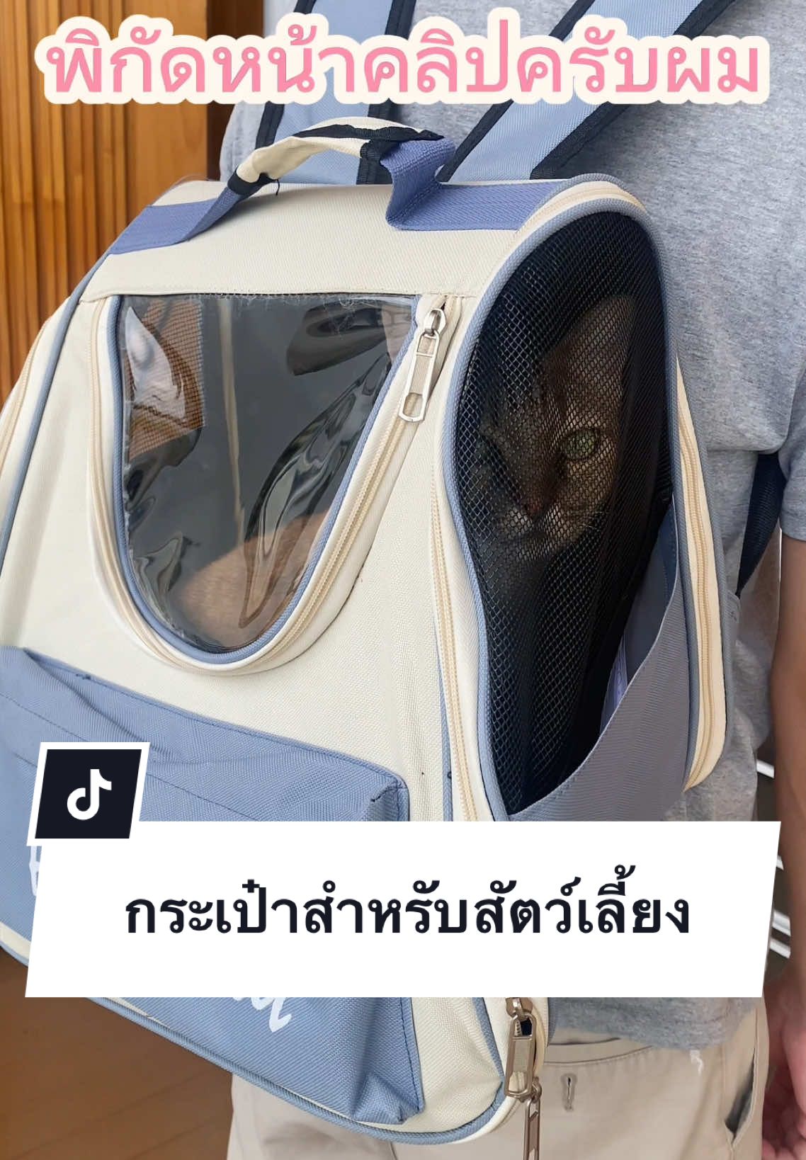 🐯 กระเป๋าสำหรับใส่สัตว์เลี้ยงแข็งแรงรับน้ำหนักได้ดีถึง 15 กิโลกรัม  ระบายอากาศดี  เหมาะสำหรับพาน้องๆเดินทางสะดวกสบาย ราคาสบายกระเป๋า                        #กระเป๋าสัตว์เลี้ยง  #แมว   #อุปกรณ์สัตว์เลี้ยง   #ทาสแมว  #เทรนด์มาแรงวันนี้ 