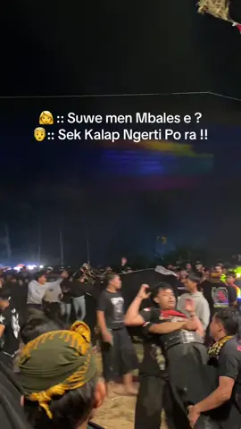 @SATRIYO GLAGAH SURO #fyppppppppppppppppppppppp #bantengbrangwetan ###satrioglagahsurolimousin #limousinoriginal #bantengan 