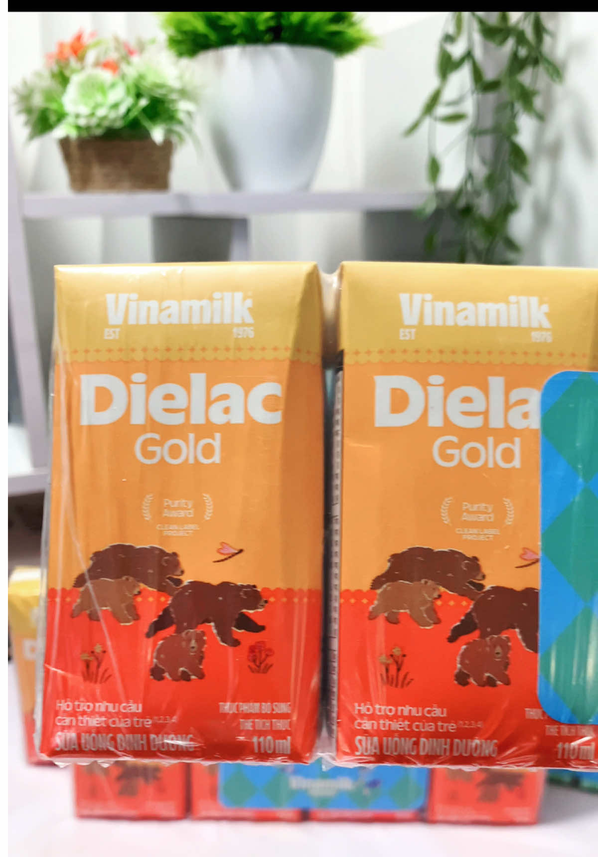 Sữa bột pha sẵn Vinamilk Dielac Gold cho bé. Thùng 48 hộp 110ml đang có giá tốt đấy ạ #sữa #suabotphasan #vinamilk #vinamilkdielacgold #suavinamilk #xuhuong 