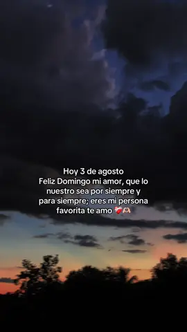 Feliz domingo mi amor te amo🥹🫶🏻💗para#enamorados💓💘para dedicar💘#paratii#tiktok#Wilaonneyjr#foryuoo
