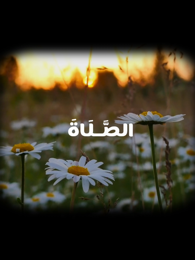 (يَا بُنَيَّ أَقِمِ الصَّلَاةَ). الشيخ علي جابر #علي_جابر #Quran #قرآن #سورة_لقمان 