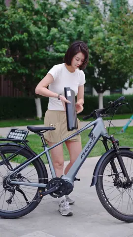 Phoenix LM #xetrolucdienlinhtrung #xedapthethao #xedaptroluc #phoenix #phoenixlm 