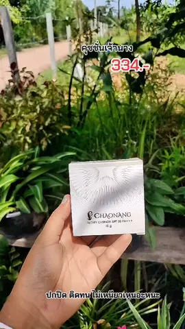 #คุชชั่นเจ้านาง คุชชั่นเจ้านาง