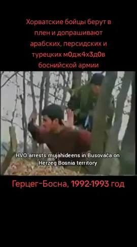 #босния #хорватия #герцеговина #боснийскаявойна #югославия #1990е #балканы 