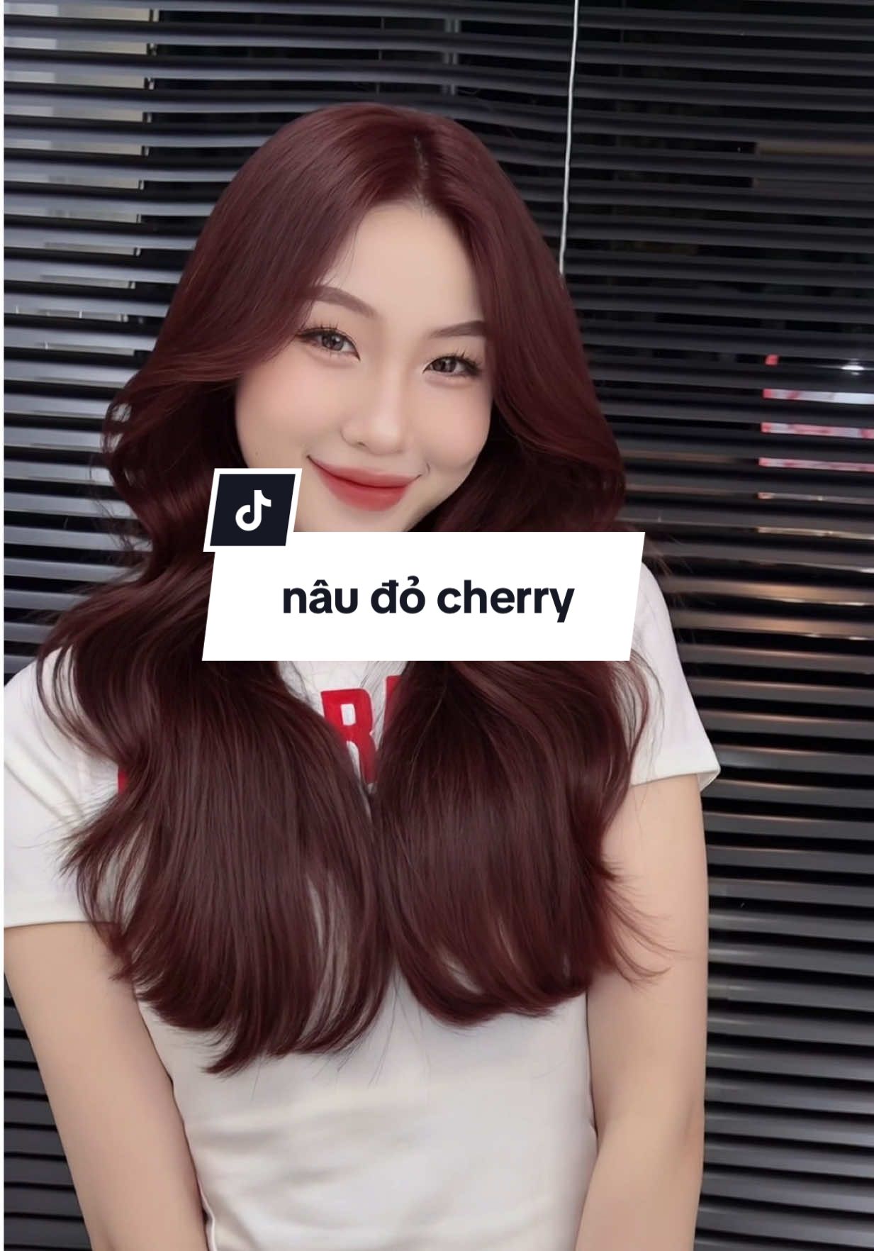 nâu cherry #hightlight #tócđẹp #xuhuong #hushcut #GuIhairstudio 