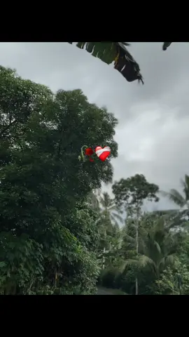 Lagu keramat 🫠#tresnoliyane #sadvibes🥀 #jawapride #liriklagujawa #rxking #fy #pppppppppppppppp #xyzbca 