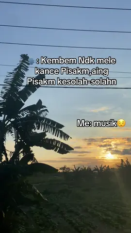 #fyppppppppppppppppppppppp #fypシ゚ #fyplombok 