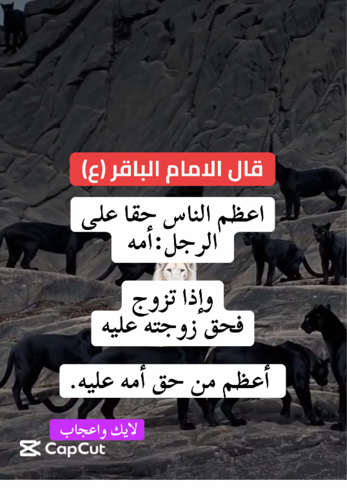 #CapCut #مشاهير_تيك_توك #اكسبلور #fyp #ترند 