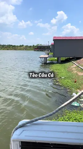 Nói gì nữa #teocauca #fishing #carpfishing 