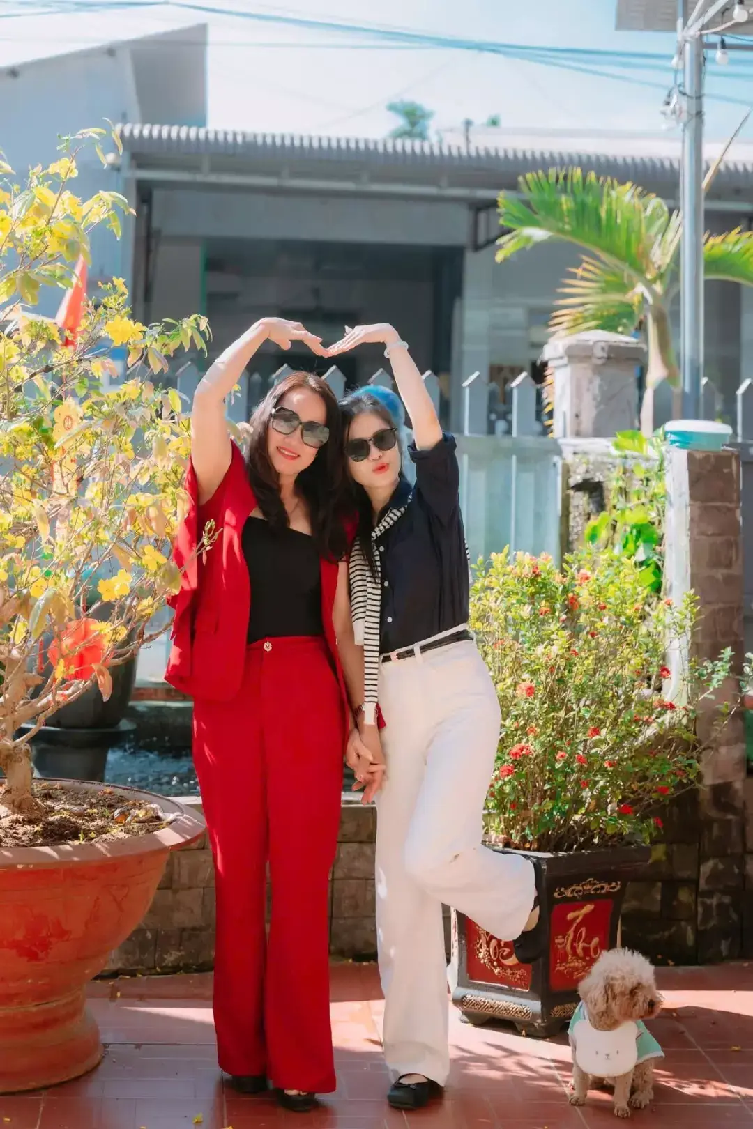 cung hoàng thái hậu của tôi 