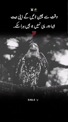 ایسا دور ہی نہیں جو ہمیں ہرا سکے۔💯💯 #foryoupageofficiall #foryoupageofficiall #foryoupageofficiall #viralvideo #viralvideo #viralvideo #viralvideo #viralvideo 