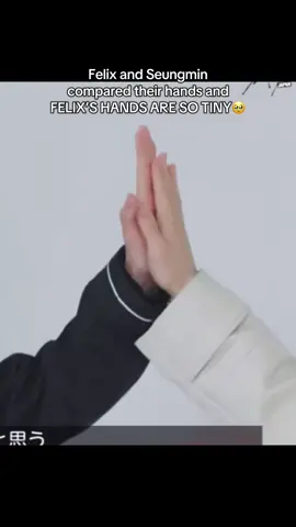 🥹 #leefelix #felix #yongbok #seungmin #straykids #skz #stay #kpopfyp 