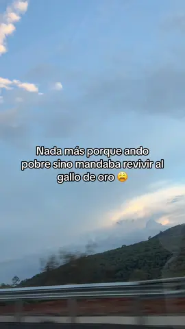 Valentin Elizalde debería estar aquí 😩 #valentinelizalde #canciones #camcionesparahistorias #cancionesparadedicar #cancionesdeamor 