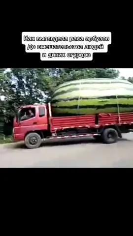 Всех с днем арбуза 🥰🍉#fyp #fyr #fyroupage #envelope #фрукты #арбуз 