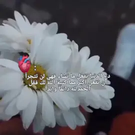 فقل الحمدلله دائماً وابدٱ 🤍✨🫴🏻 .  .  .  .  .  #تفاعلكم_حبايب_محضوره #اللهم_صل_على_محمد_وآل_محمد🙏💖 #يارب❤️ #ننوشه #fvp 