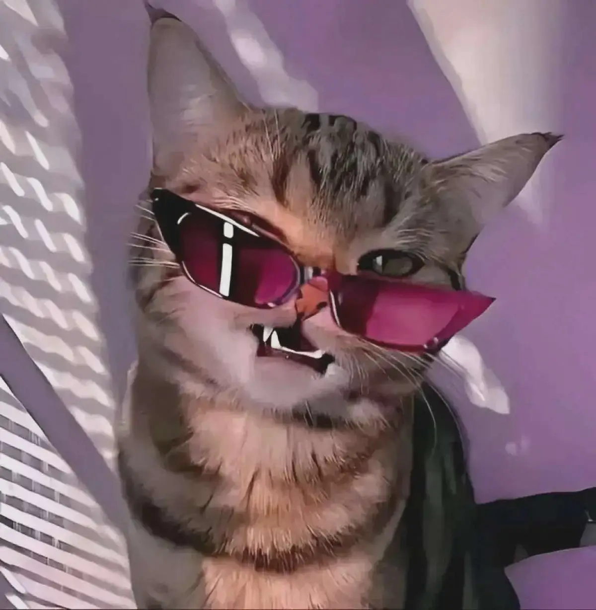 #togahimiko #myheroacademia #animegirl #waifu #fypシ゚ 