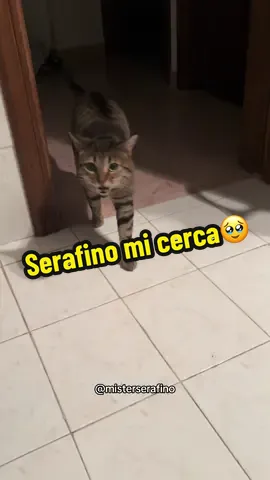 Amore miooooooo!