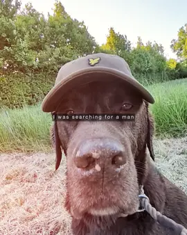 😎