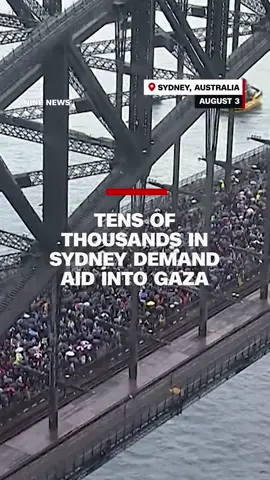 Tens of thousands marched across Sydney’s Harbour Bridge in the rain, advocating for peace and for humanitarian aid to be allowed into Gaza, as the enclaves starvation crisis deepens. The protest, supported by prominent figures like Julian Assange coincides with increasing international diplomatic pressure on Israel. #cnn #news #sydney #marchforhumanity
