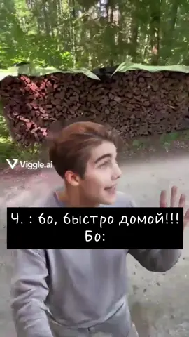 Окак. Так оно и было, я сама видела. Снимал Ричард #пикмачейз#бобби#бо#бобовый#бобёр#тёмноерождество#автор