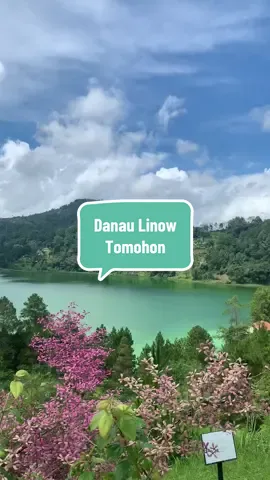 Place to go | Gak cuma laut, Manado juga punya danau secantik ini! Cuma 1 jam dari Kota Manado, Danau Linow ini spot healing paling aesthetic 🌿☘️ Danau Linow, danau vulkanik di Sulawesi Utara yang bisa berubah hijau-biru-cokelat tergantung cahaya dan suhu 🤩 Unik banget kan 😍 Jadi salah satu danau paling beda di Indonesia ✨ ##DanauLinow##ExploreTomohon##TripManado##traveldiaries##travelvlog##TravelMood##traveltiktok##fypシ゚viral##manado##placetogo##travelvibes