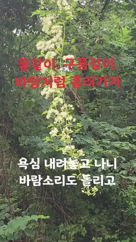 물같이. 구름같이. 바람처럼흘러가자 #Ai