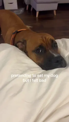 prank ruined bc he super sonic sensed my laughter 