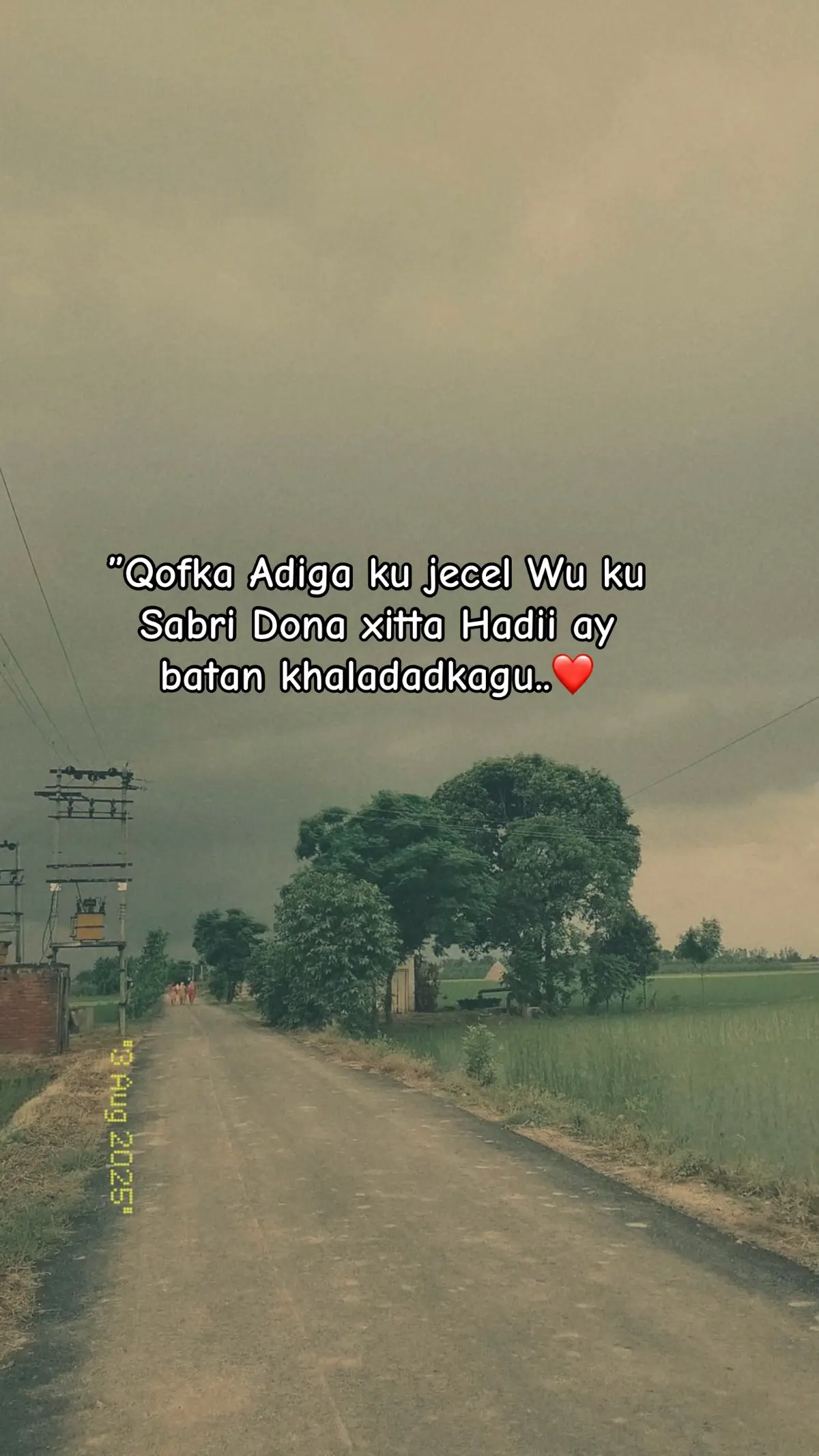 #❤️ 