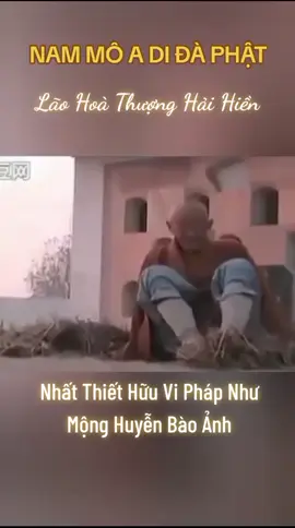 #nammoadidaphat #hoathuongtinhkhong #hoathuonghaihien 