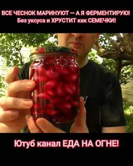 Простой рецепт ферментированного чеснока без уксуса! Всего 5-7 дней, и у вас готова идеальная хрустящая закуска, как семечки. Идеальная острая закуска без уксуса и без заморочек — чеснок всего за несколько дней становится хрустящим и невероятно вкусным. Отлично подойдёт к мясу, борщу или просто вприкуску. Рецепт на банку 0,5 л: – немного сырой свёклы (для цвета) – 1 лавровый лист – 10 горошин чёрного перца – 3 душистого перца – 1 острый перец (по желанию) – молодой чеснок — сколько влезет – рассол: 1 ст. ложка соли на 0,5 л воды Как готовить: Заливаем чеснок рассолом, сверху ставим гнёт, оставляем при комнатной температуре на 5–7 дней. Затем убираем в холодильник — и можно есть! Невероятный хруст, пикантность и никакого уксуса! Рецепт из рубрики 