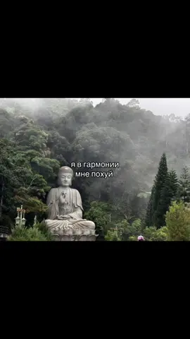 #щп #щитпост #рекомендации #fyp #гармония #будда 