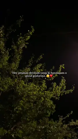 Uşş qurban olmm😍❤️#я 