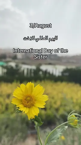 #اليوم_العالمي_لاخت#sister #august #International _Day of _#the Sister#sister #اختي #اغسطس #3 #السعوديه #اليوم_العالمي_للاخت #sister #my #august #3 