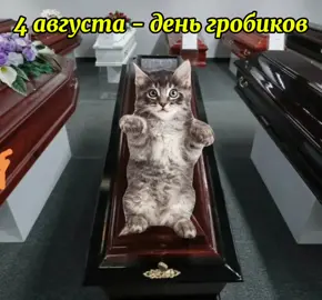 Что я снимаю ради просмотров... Семья — это малая социальная группа, основанная на браке, кровном родстве или усыновлении, характеризующаяся общностью быта, взаимопомощью, моральной и правовой ответственностью.  skysmart.ru Также семья может рассматриваться как социальный институт, совокупность социальных норм, регулирующих отношения между супругами, родителями, детьми и другими родственниками, позволяющая удовлетворять важные человеческие потребности.#семья #тема #тема #милая #бабушка #парень #любовь #любовь 